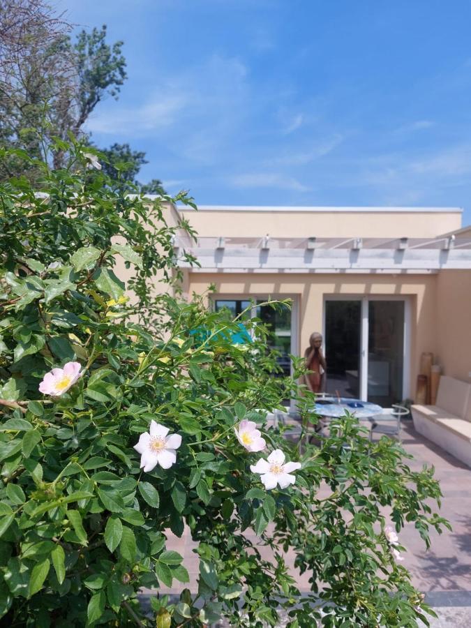 Bed and Breakfast Pioppi Neri R&B Felino Екстер'єр фото